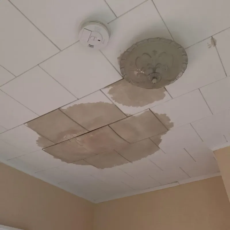 Ceiling Water Damage Repair in Mayfield, PA