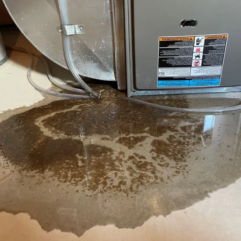 Pipe Burst and Leak Restoration in Mayfield, PA