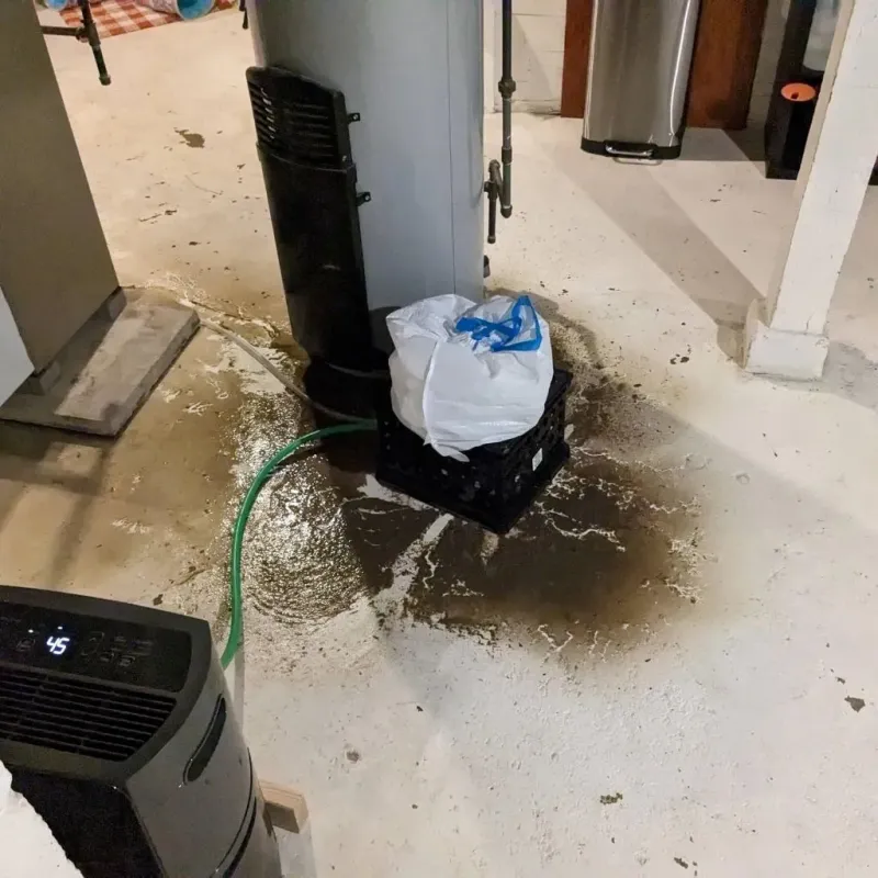 Sewage Backup Cleanup Service in Mayfield, PA